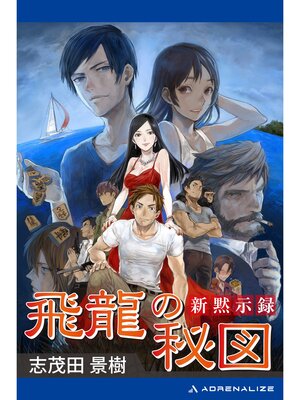 cover image of 新黙示録　飛龍の秘図